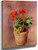 The Pot Of Geraniums By Odilon Redon