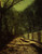 Tree Shadows On The Park Wall, Roundhay Park, Leeds By John Atkinson Grimshaw  By John Atkinson Grimshaw