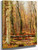 Wooded Interior By Thomas Worthington Whittredge Wooded Interior By Thomas Worthington Whittredge