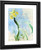 Yellow Iris By Claude Oscar Monet