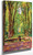 Allee Dans Le Parc Du Chateau De Versailles By Henri Martin By Henri Martin Allee Dans Le Parc Du Chateau De Versailles By Henri Martin By Henri Martin