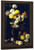 Chrysanthemums By Mathias J. Alten By Mathias J. Alten