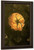 Rose By Eugene Jansson Rose By Eugene Jansson
