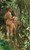 The Hinds By Anders Zorn The Hinds By Anders Zorn