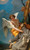 The Stigmatization Of Saint Francis By Giovanni Battista Tiepolo