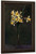 Yellow Flowers By Henri Fantin Latour By Henri Fantin Latour