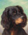 A Gordon Setter By Carl Reichert