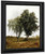 A Study Of Trees By John Frederick Kensett By John Frederick Kensett