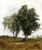 A Study Of Trees By John Frederick Kensett By John Frederick Kensett