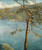 A View Across Lake Como By John Maler Collier By John Maler Collier