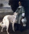 Alice With Wolfhound By William Merritt Chase By William Merritt Chase