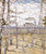 Birches By Abraham A. Manievich