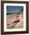 Boy On The Beach By Edmund Tarbell