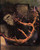 Christ With Red Thorns By Odilon Redon By Odilon Redon Christ With Red Thorns By Odilon Redon By Odilon Redon