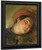 Head Of A Woman In A Red Turban By Eugene Delacroix By Eugene Delacroix