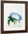 Ipomoea By John La Farge By John La Farge