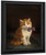 Kitten With Purple Bow By Julius Adam By Julius Adam