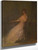 Lady With A Rose By Thomas Wilmer Dewing By Thomas Wilmer Dewing