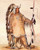 Mah To Toh Pa, The Four Bears, Mandan By George Catlin By George Catlin