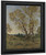 Olive Trees At Menton By Henri Joseph Harpignies, Aka Henri Harpignies