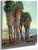 Palms By Guy Orlando Rose