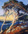 Point Lobos Trees By Guy Orlando Rose