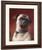 Pug By Carl Reichert