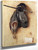 Still Life With Partridge And Iron Gloves By Jacopo Barbari By Jacopo Barbari