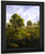 Summer Pastures By William Mason Brown