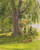 Sunny Oak By Paul Signac