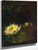 The Last Water Lilies By John La Farge By John La Farge