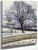 The Thaw, Eragny By Camille Pissarro By Camille Pissarro