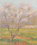 Trees In Bloom By Henri Martin By Henri Martin