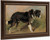 A Border Collie By Thomas Sidney Cooper By Thomas Sidney Cooper