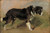 A Border Collie By Thomas Sidney Cooper By Thomas Sidney Cooper