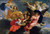 Apotheosis Of Louis Xiv By Charles Le Brun