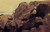 Boy On The Rocks By Winslow Homer