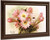 Cactus Blossoms By Raoul De Longpre By Raoul De Longpre