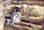 Claude Bernheim De Villers By Edouard Vuillard Claude Bernheim De Villers By Edouard Vuillard