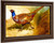 Cock Pheasant By Archibald Thorburn