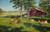 Cows On The Pasture1 By Johan Krouthen Cows On The Pasture1 By Johan Krouthen
