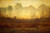 Evening Fog By Dwight W. Tryon