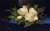 Giant Magnolias On A Blue Velvet Cloth By Martin Johnson Heade