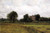 Glastonbury Meadows By Dwight W. Tryon