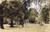 Landscape By Max Liebermann By Max Liebermann