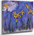 Yellow Irises With Pink Cloud By Claude Oscar Monet Art Reproduction