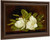 Magnolias On A Wooden Table By Martin Johnson Heade