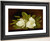 Magnolias On A Wooden Table By Martin Johnson Heade