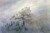 Morgennebel Im Gebirge By Caspar David Friedrich