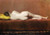 Nude Recumbent By William Merritt Chase